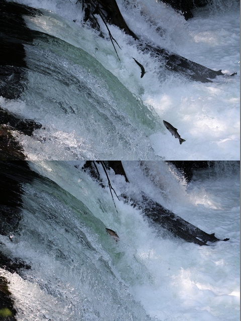 ファイル 86-6.jpg