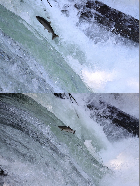 ファイル 86-7.jpg