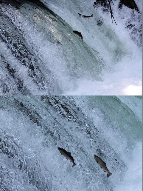 ファイル 86-8.jpg