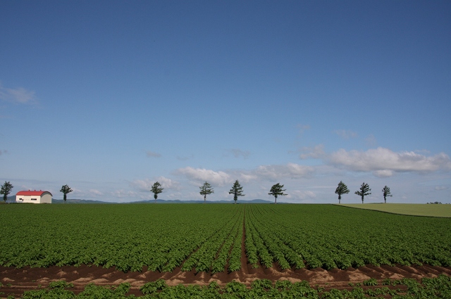 ファイル 87-1.jpg