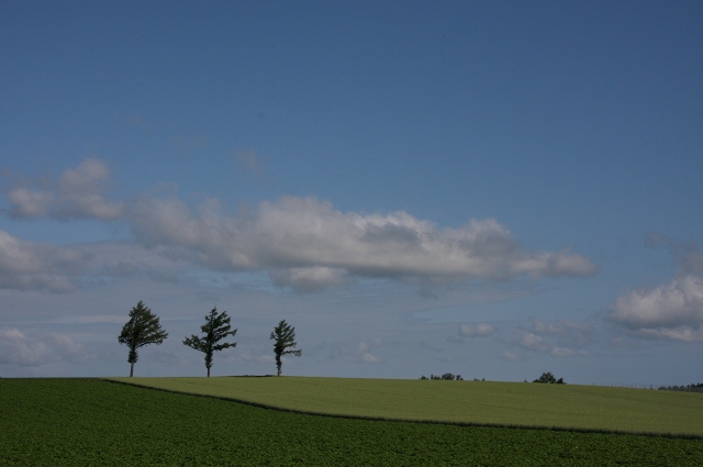 ファイル 87-2.jpg