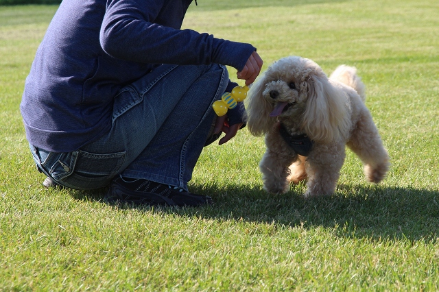 ファイル 87-6.jpg