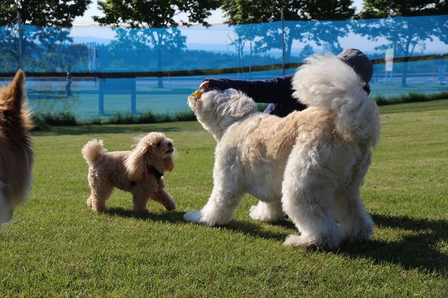 ファイル 87-7.jpg