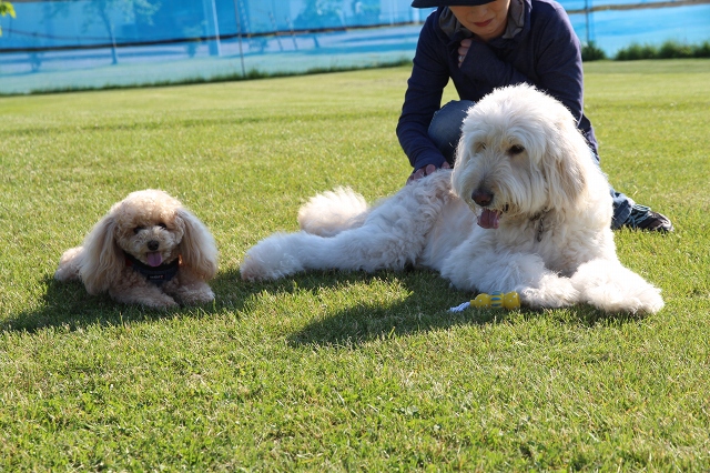 ファイル 87-8.jpg