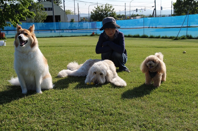 ファイル 87-9.jpg