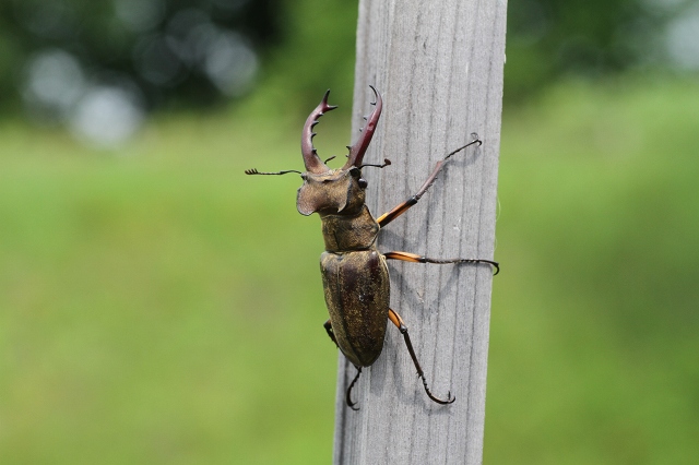 ファイル 88-2.jpg