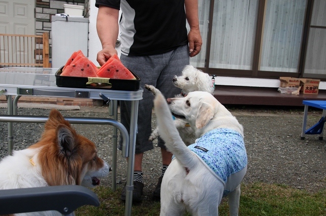 ファイル 88-9.jpg