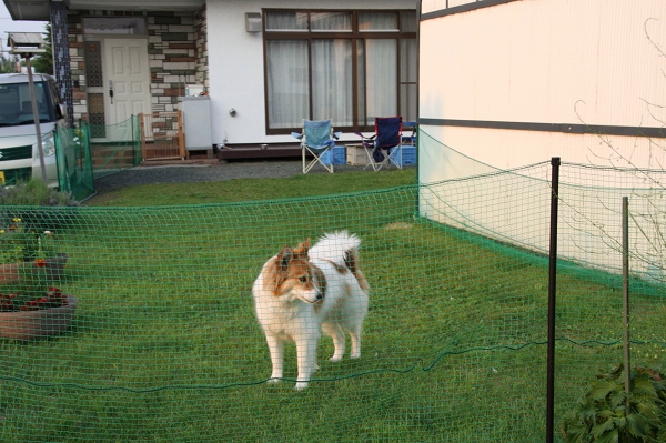 ファイル 90-3.jpg