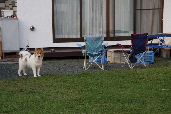 ファイル 90-4.jpg