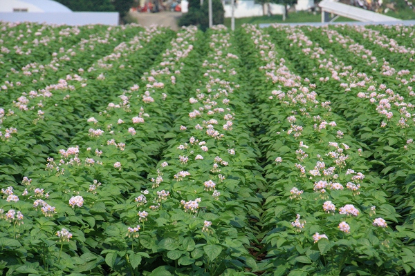 ファイル 90-6.jpg