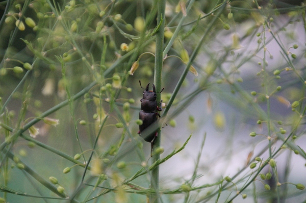 ファイル 90-7.jpg