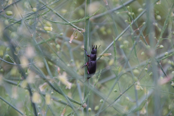 ファイル 90-8.jpg