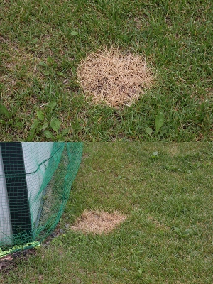 ファイル 90-9.jpg