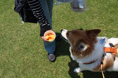 ファイル 91-3.jpg