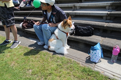 ファイル 91-5.jpg