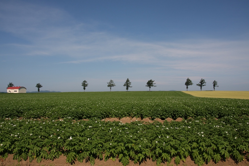 ファイル 92-1.jpg