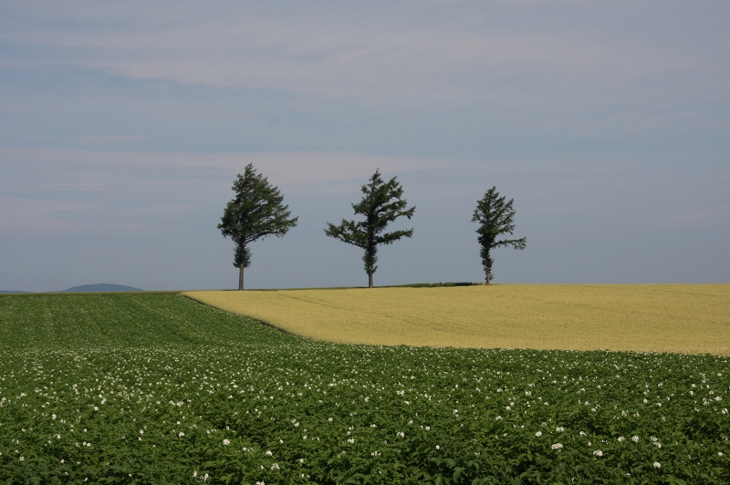 ファイル 92-2.jpg