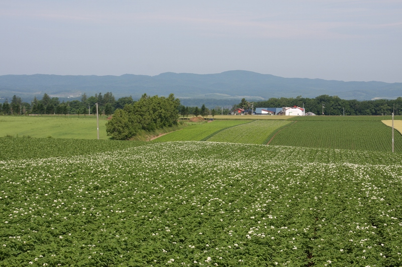 ファイル 92-3.jpg