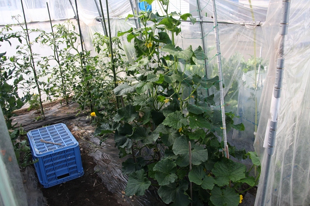 ファイル 92-6.jpg