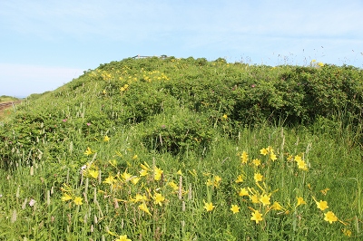 ファイル 93-1.jpg