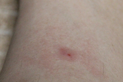 ファイル 94-1.jpg