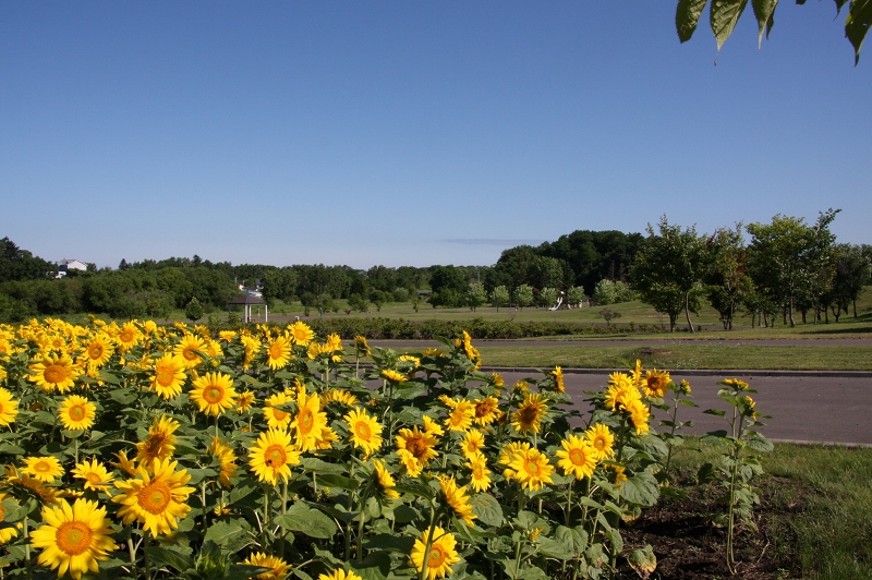 ファイル 95-2.jpg