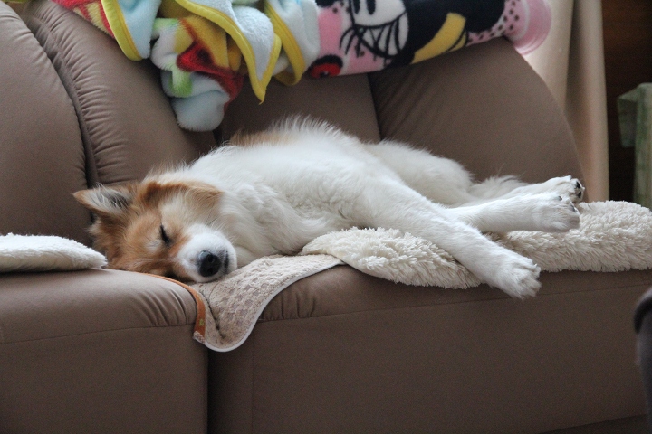 ファイル 98-1.jpg