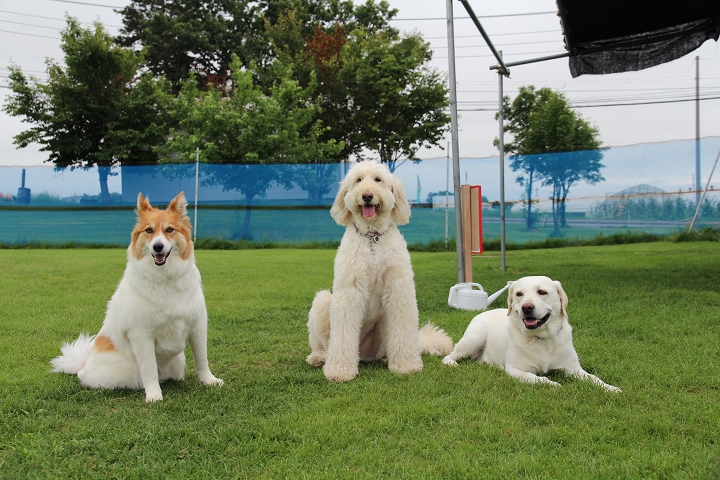 ファイル 98-7.jpg