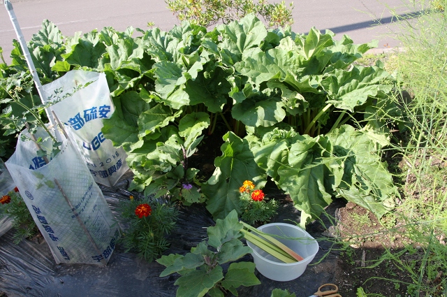 ファイル 99-2.jpg