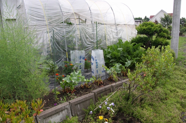 ファイル 99-4.jpg