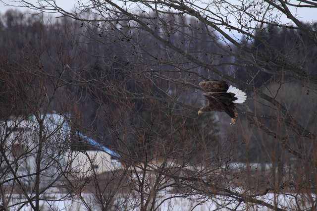 ファイル 1-1.jpg