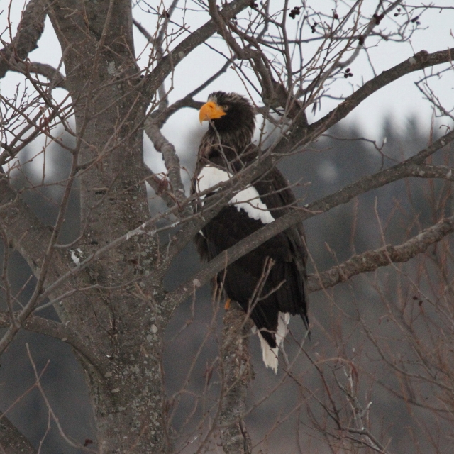 ファイル 1-6.jpg