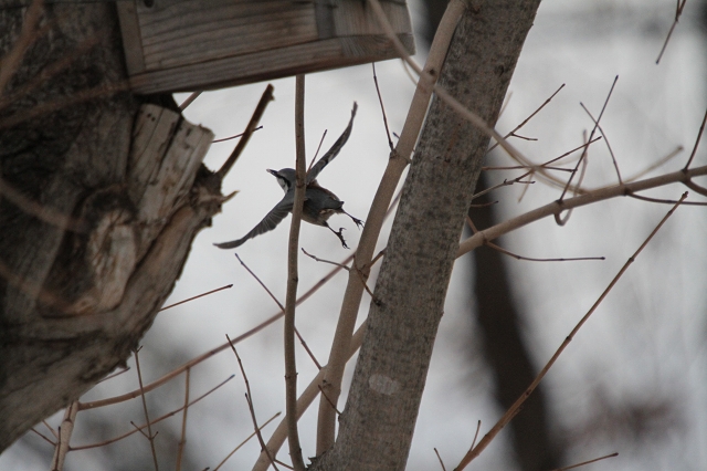 ファイル 1-9.jpg