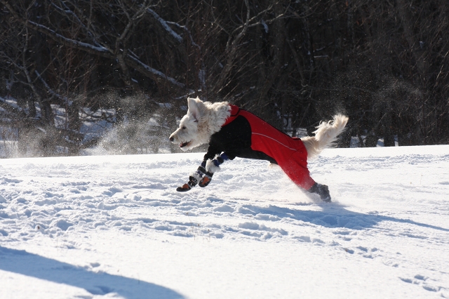 ファイル 10-4.jpg