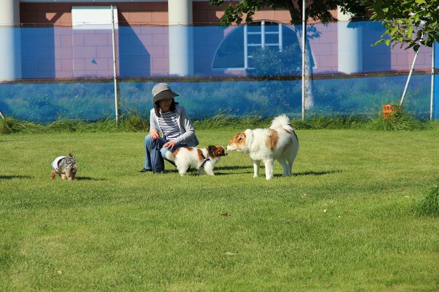 ファイル 101-3.jpg