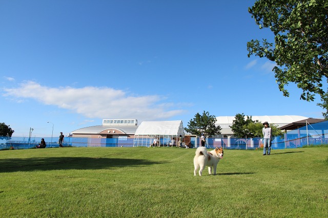 ファイル 101-4.jpg