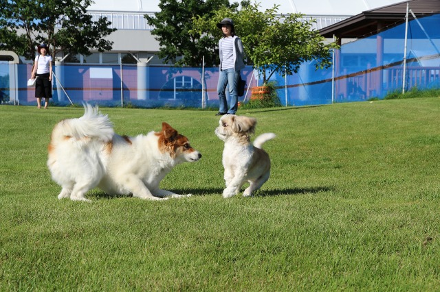 ファイル 101-5.jpg