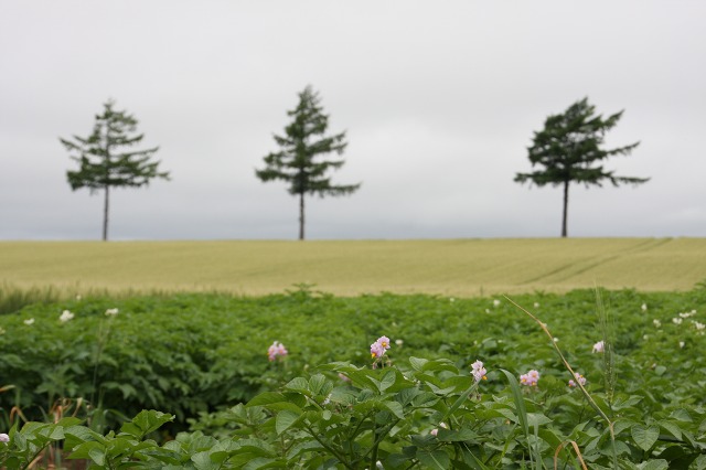 ファイル 101-7.jpg