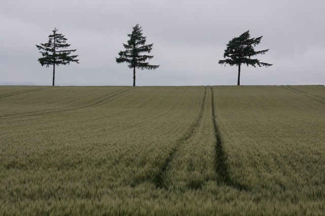 ファイル 103-2.jpg