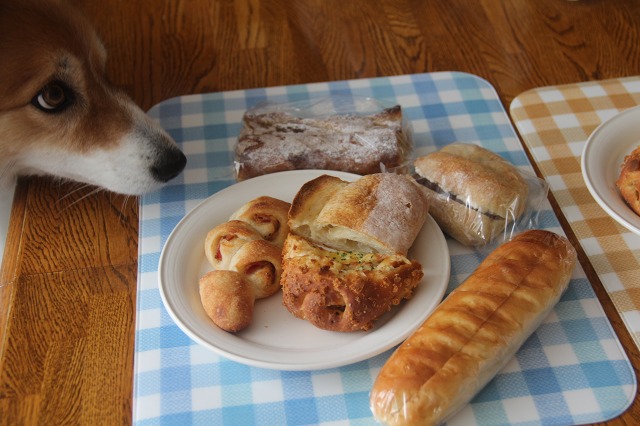 ファイル 104-1.jpg