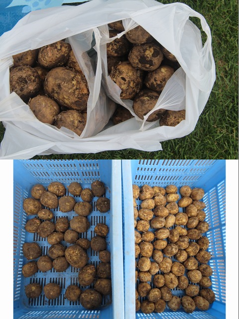 ファイル 104-9.jpg