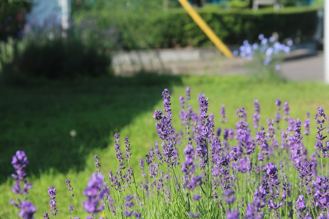 ファイル 105-1.jpg