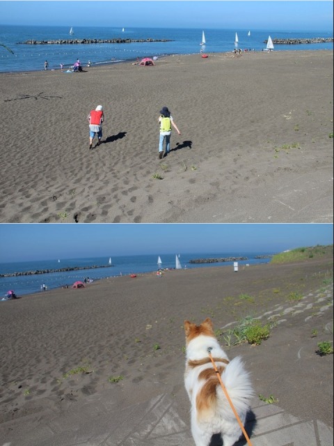 ファイル 106-5.jpg