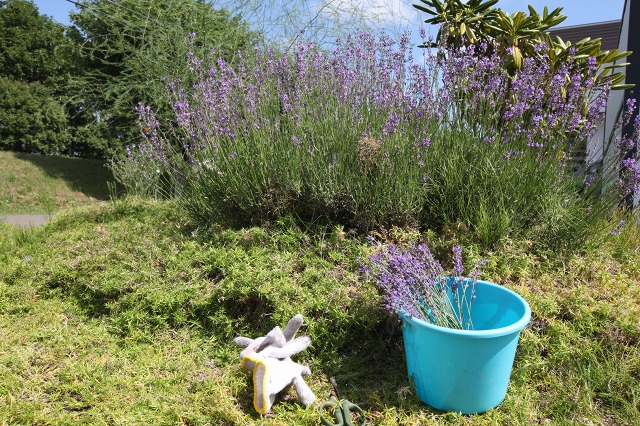 ファイル 108-2.jpg