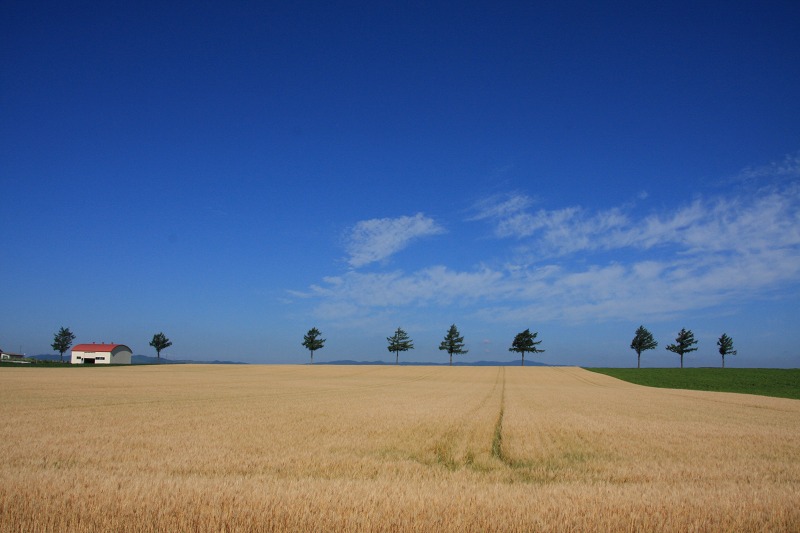 ファイル 109-1.jpg