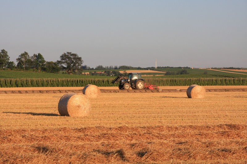 ファイル 109-4.jpg