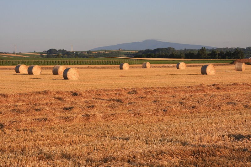 ファイル 109-5.jpg