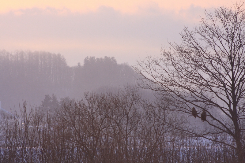 ファイル 11-1.jpg