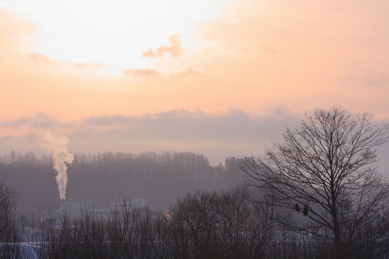 ファイル 11-2.jpg