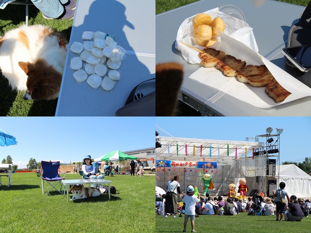 ファイル 110-8.jpg